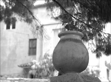 Jarre de Biot servant de jardinière sur le mur de clôture. Détail.