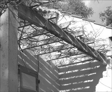 Colonie de vacances de Montélimar. Pavillon. Façade principale. La pergola. Détail.
