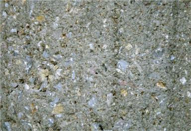 Détail. La texture du béton d'un piloti.