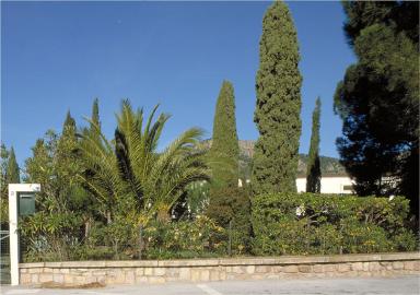 Le jardin depuis la route, au sud.