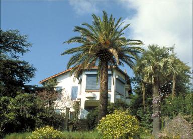 Maison. La faade sud vue depuis le sud.