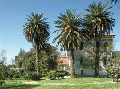 Façade latérale est. Vue générale depuis le jardin.
