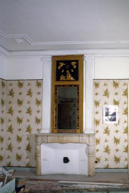 Salon du 1er etage (a):vue d'ensemble avec la cheminée.
