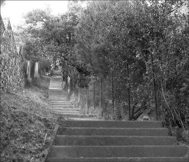 Le village. Escalier public permettant aux rsidents des lotissements de descendre directement au village sans emprunter le rseau routier,vue d'ensemble depuis le sud (vers 1935).