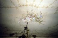 Plafond peint dans une pice du rez-de-chausse.