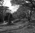 Jardin. Pont (1). Vue prise vers le nord-ouest.