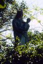 Jardin : Vierge à l'Enfant.