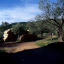 Aire de stockage du bois pour la cuisson des fours (bois de pin).