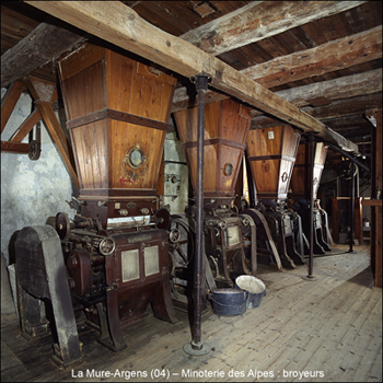 La mûre