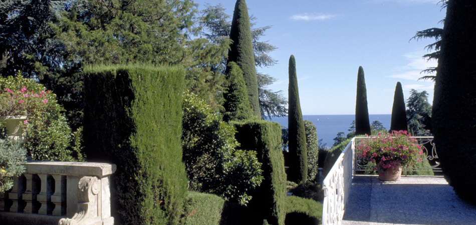 Cannes (Dép.06), jardin d'agrément de la villa Rêve d'Or