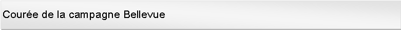 Zone de Texte: Coure de la campagne Bellevue