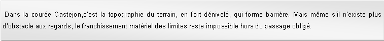 Zone de Texte:  Dans la coure Castejon,cest la topographie du terrain, en fort dnivel, qui forme barrire. Mais mme sil nexiste plus dobstacle aux regards, le franchissement matriel des limites reste impossible hors du passage oblig.